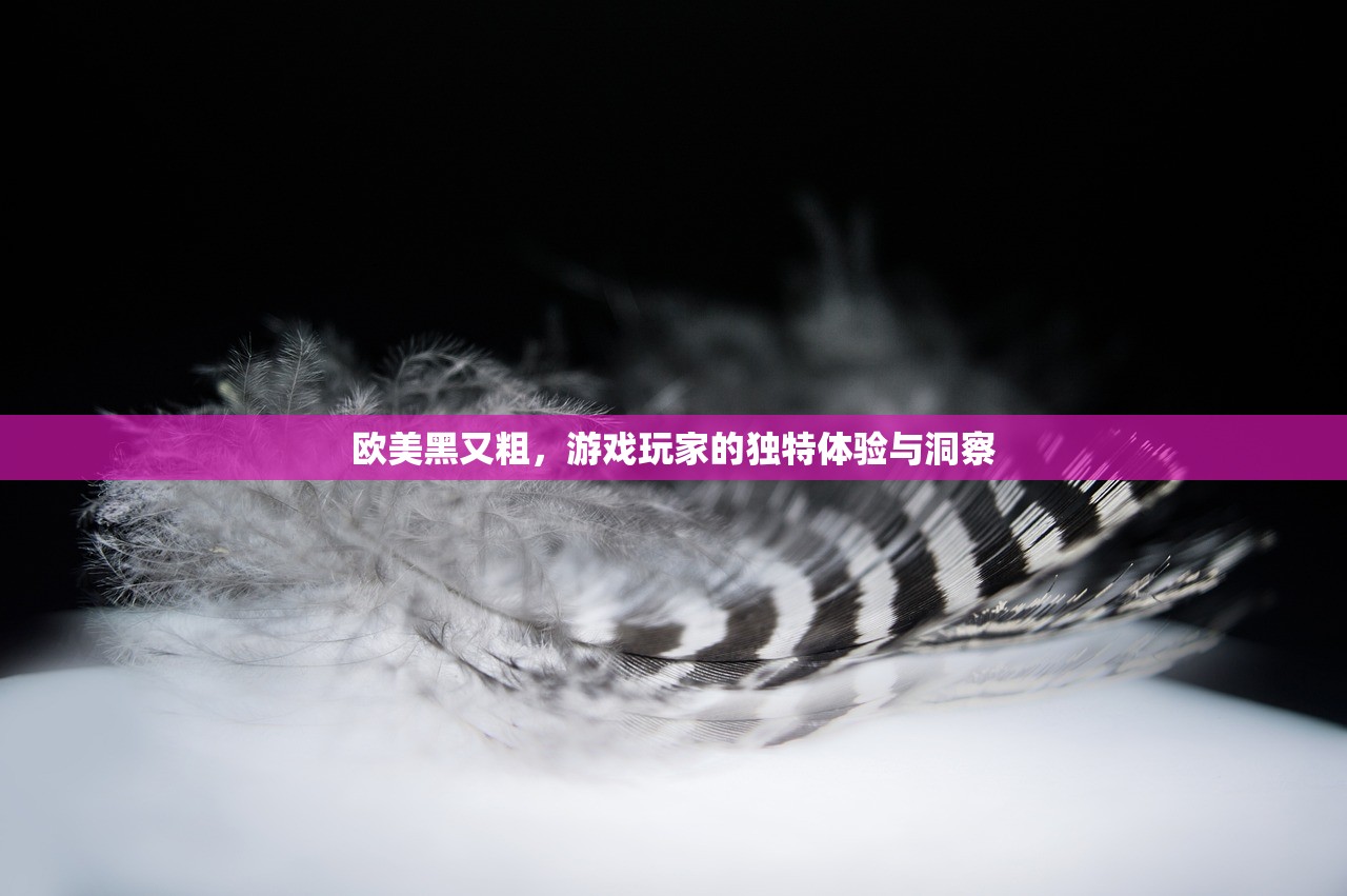 欧美黑又粗，游戏玩家的独特体验与洞察