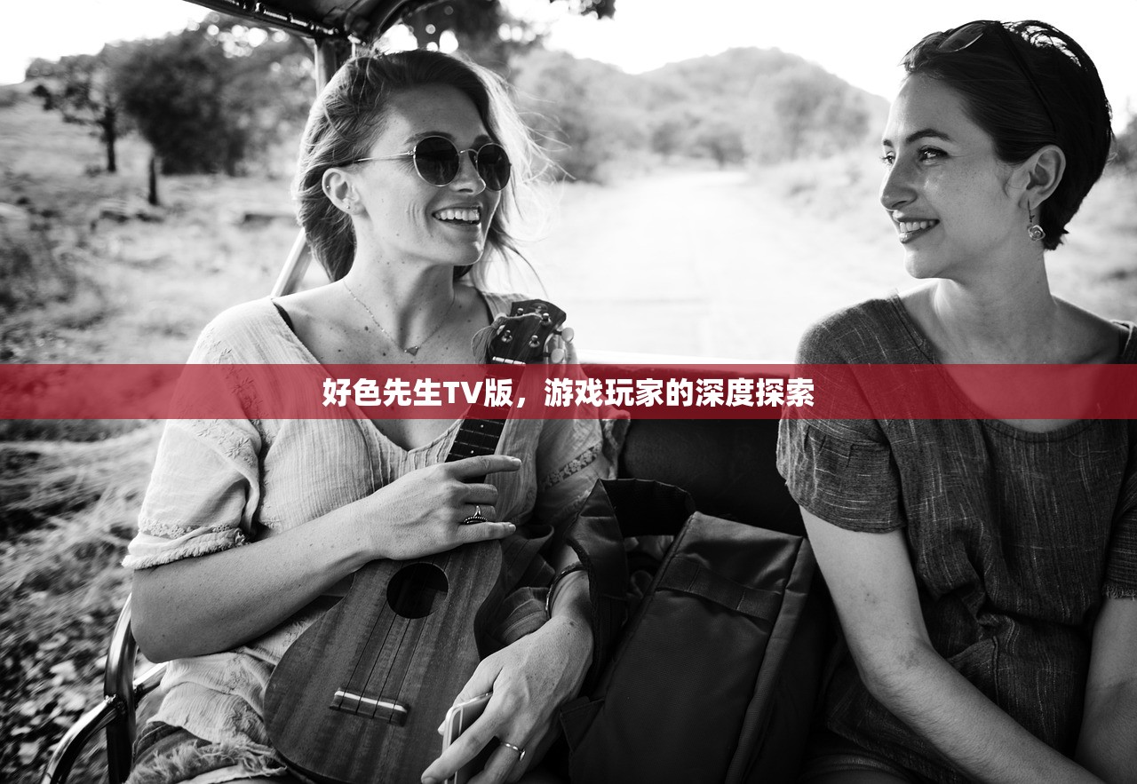 好色先生TV版，游戏玩家的深度探索