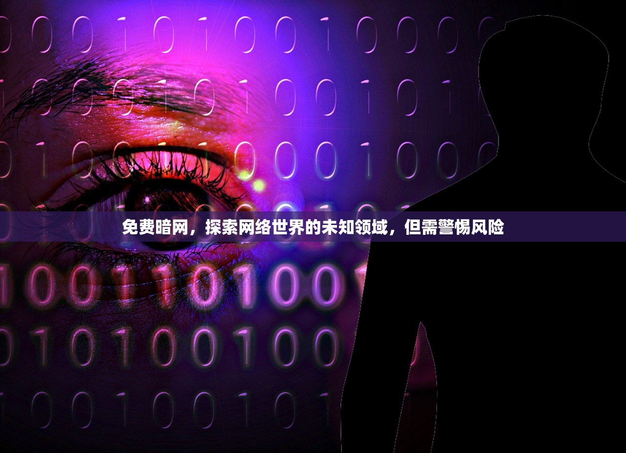 免费暗网，探索网络世界的未知领域，但需警惕风险