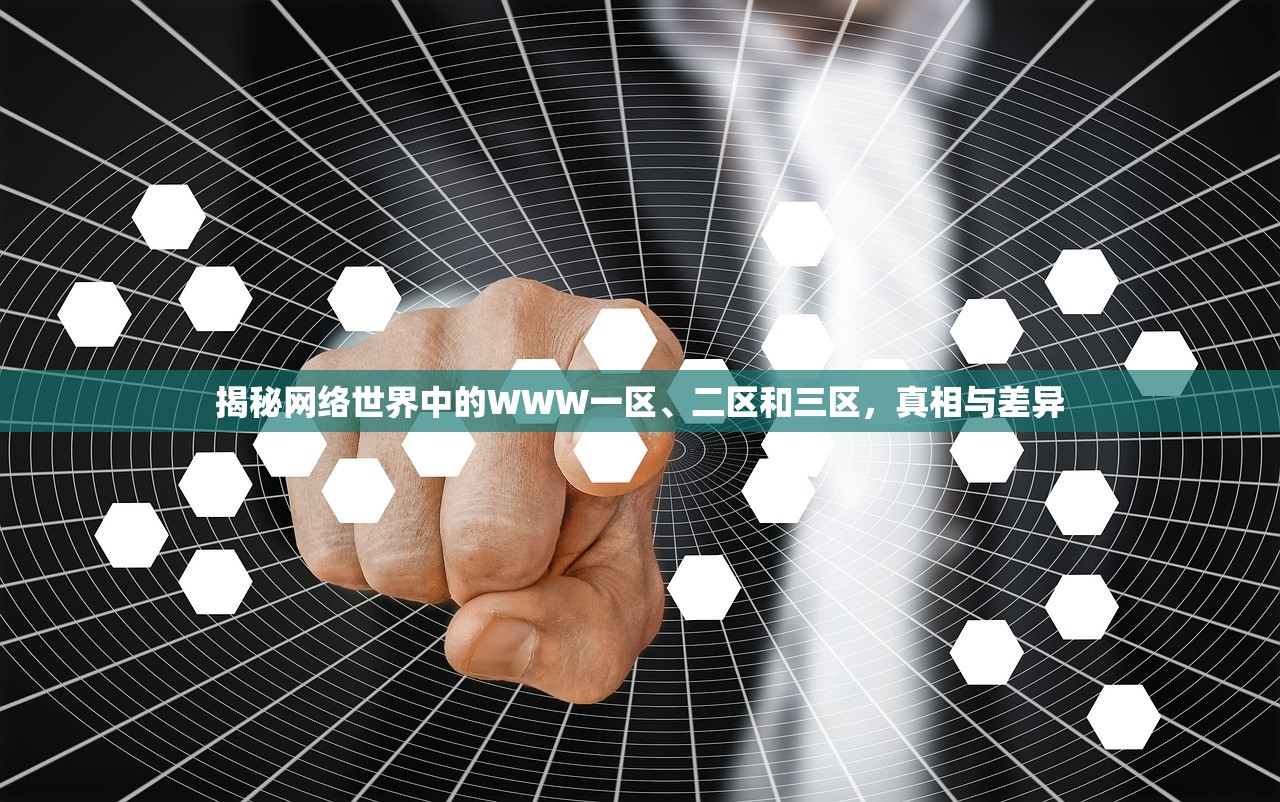 揭秘网络世界中的WWW一区、二区和三区，真相与差异