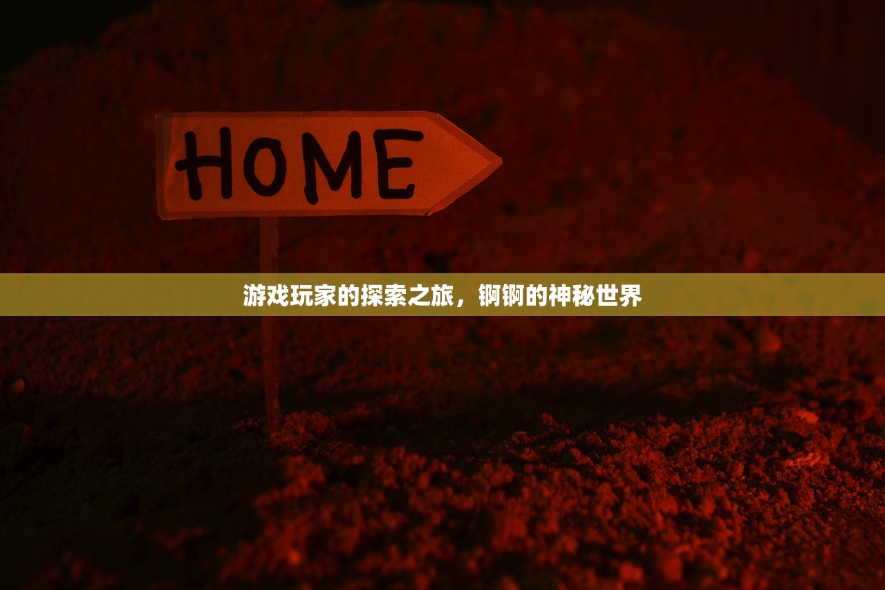 游戏玩家的探索之旅，锕锕的神秘世界