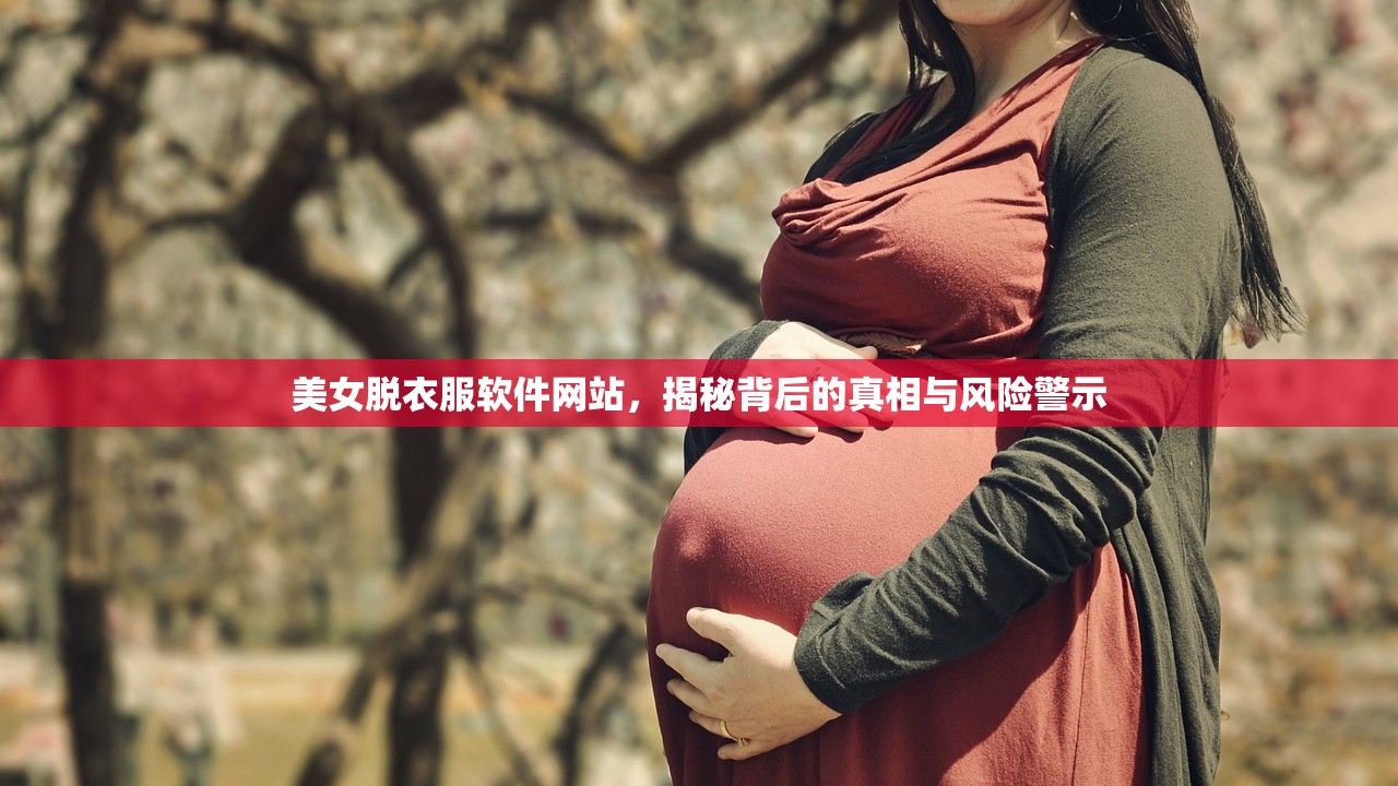 美女脱衣服软件网站，揭秘背后的真相与风险警示
