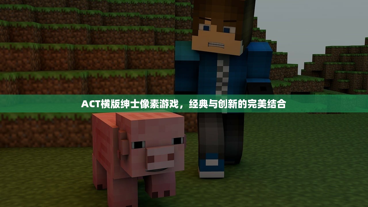 ACT横版绅士像素游戏，经典与创新的完美结合