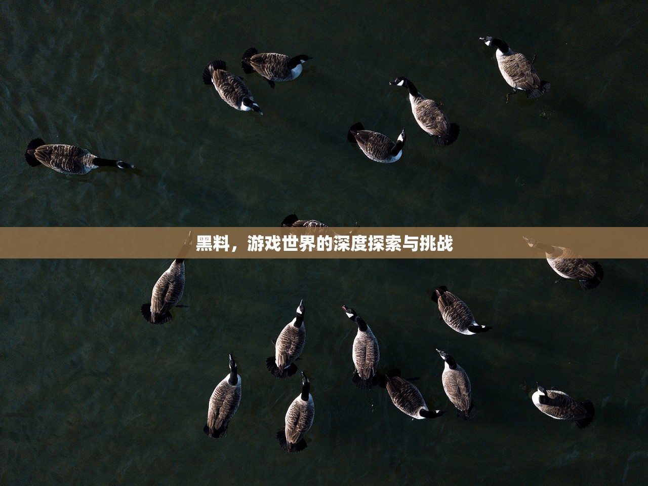 黑料，游戏世界的深度探索与挑战