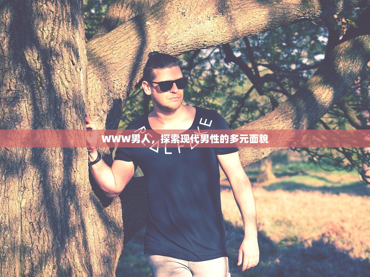 WWW男人，探索现代男性的多元面貌
