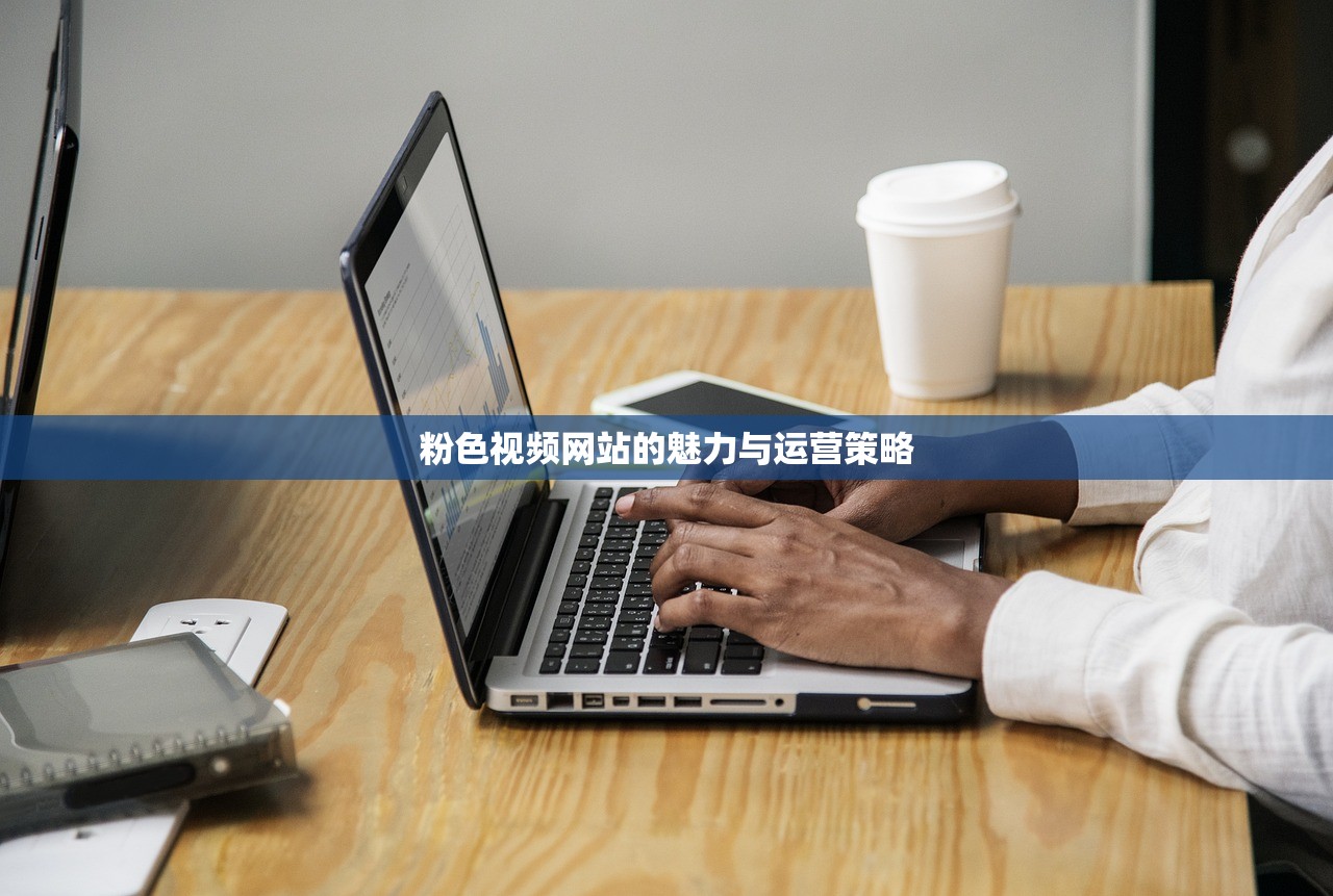 粉色视频网站的魅力与运营策略