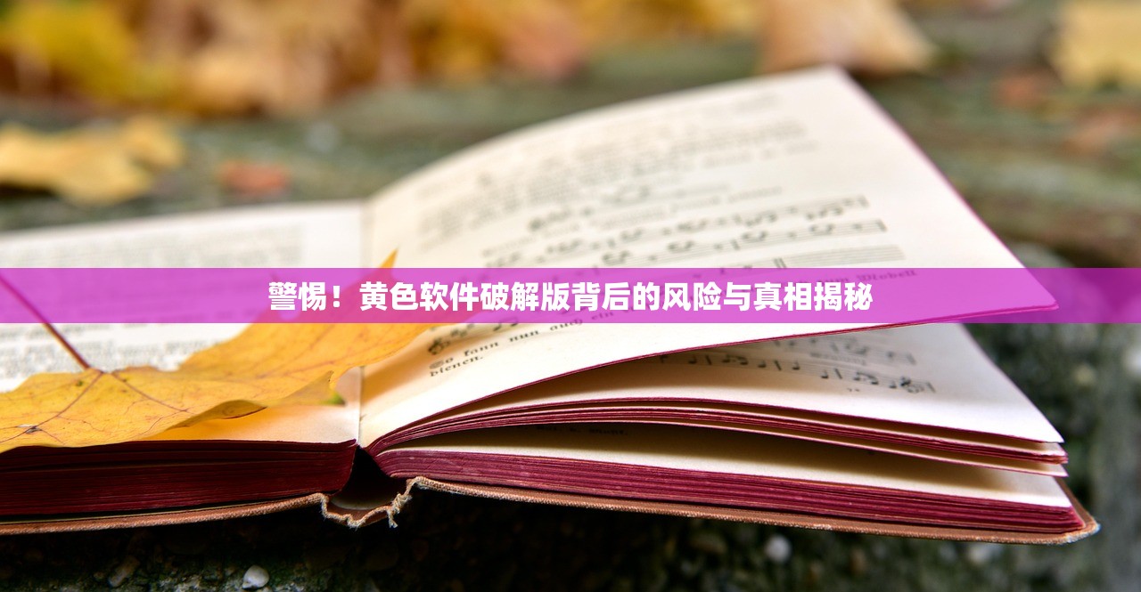 警惕！黄色软件破解版背后的风险与真相揭秘