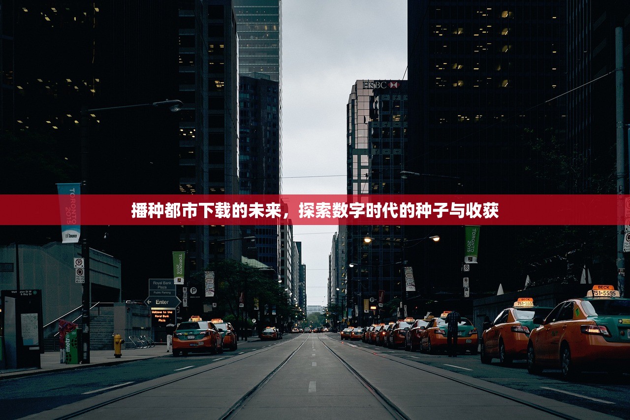 播种都市下载的未来，探索数字时代的种子与收获