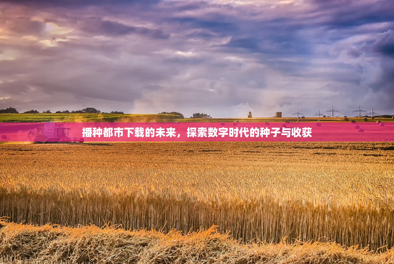 播种都市下载的未来，探索数字时代的种子与收获