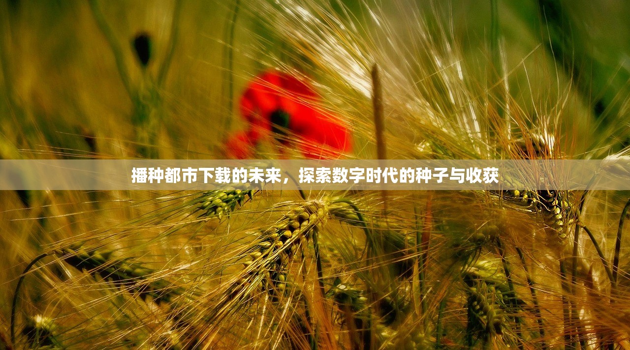 播种都市下载的未来，探索数字时代的种子与收获