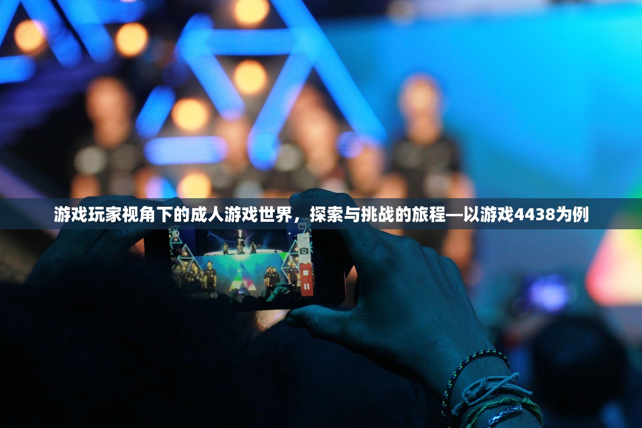 游戏玩家视角下的成人游戏世界，探索与挑战的旅程—以游戏4438为例