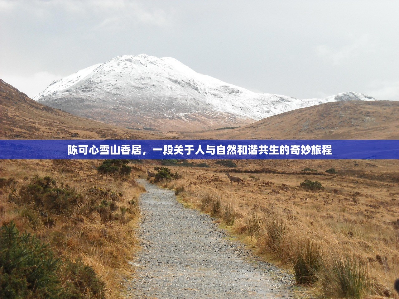 陈可心雪山香居，一段关于人与自然和谐共生的奇妙旅程