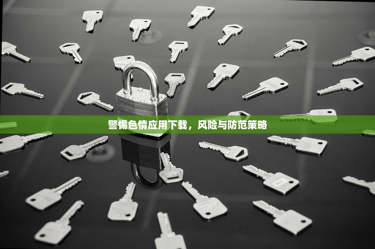 警惕色情应用下载，风险与防范策略
