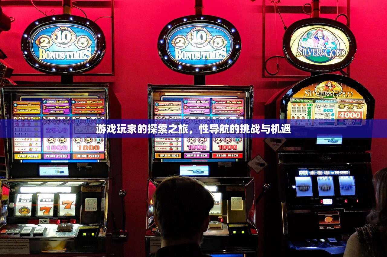 游戏玩家的探索之旅，性导航的挑战与机遇