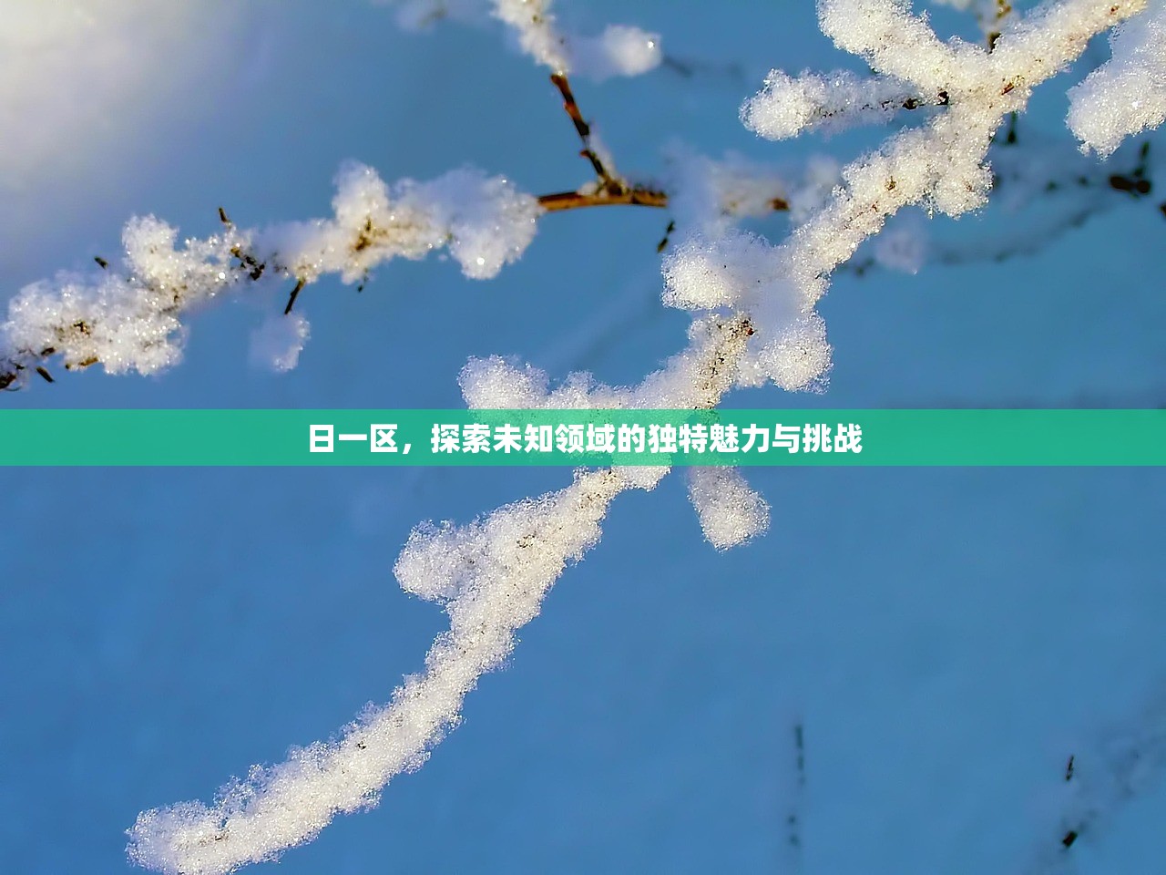 日一区，探索未知领域的独特魅力与挑战