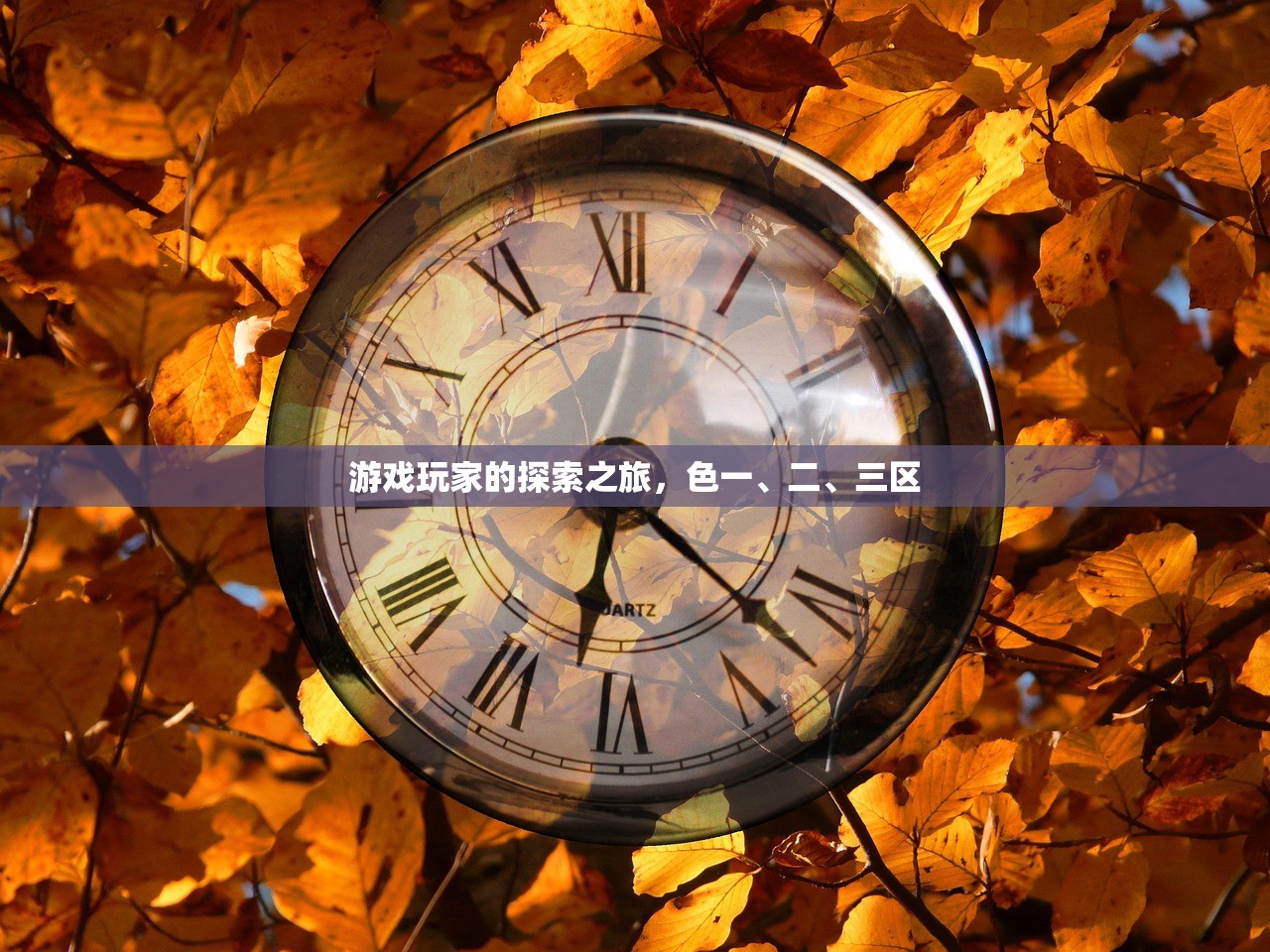 游戏玩家的探索之旅，色一、二、三区