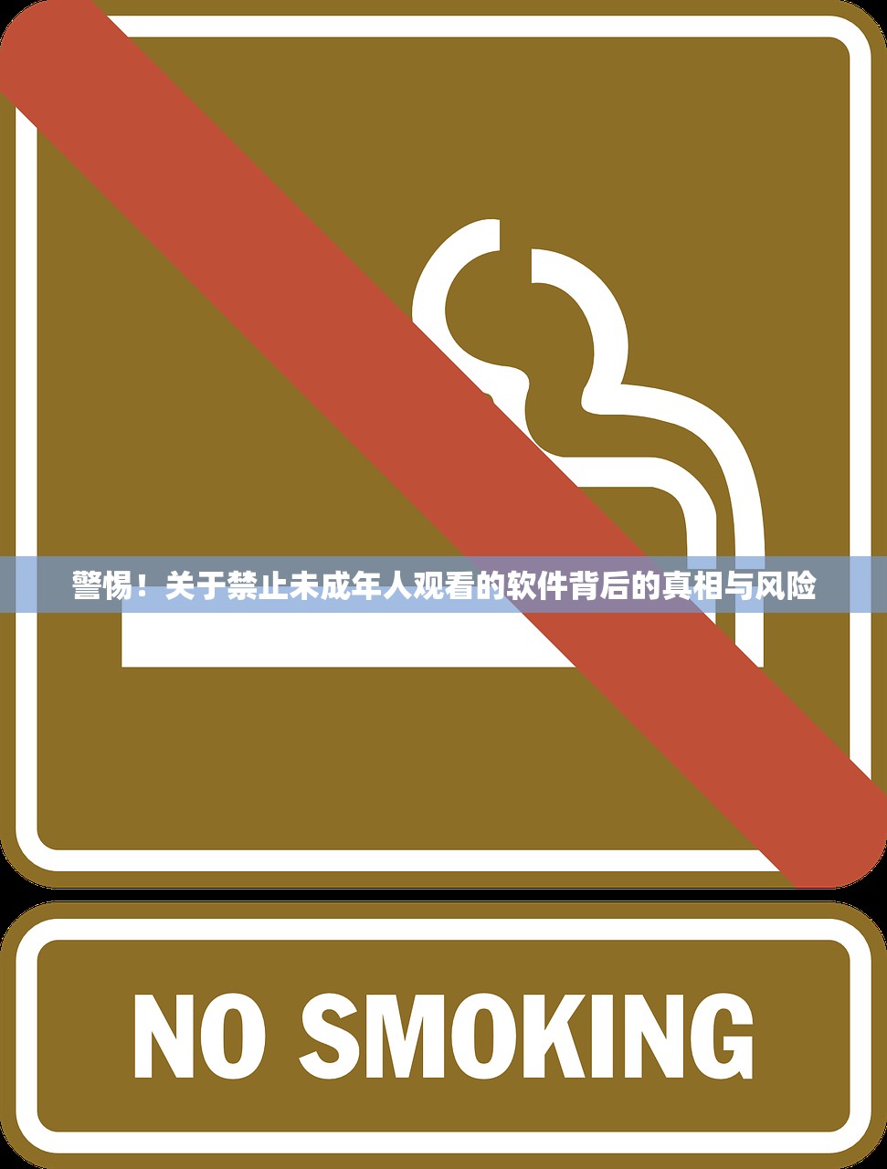 警惕！关于禁止未成年人观看的软件背后的真相与风险