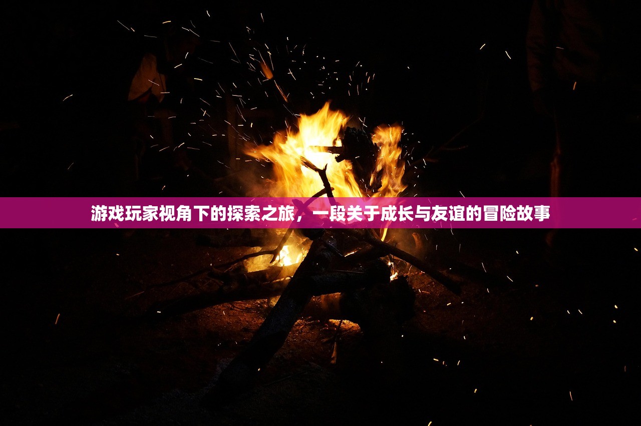 游戏玩家视角下的探索之旅，一段关于成长与友谊的冒险故事