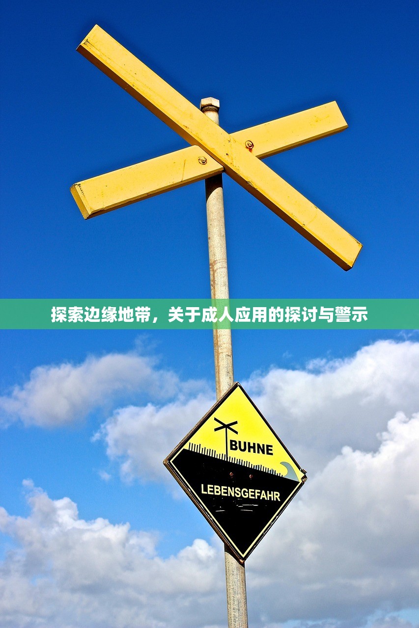 探索边缘地带，关于成人应用的探讨与警示