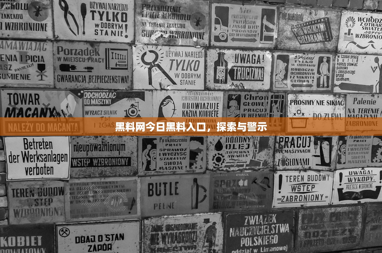 黑料网今日黑料入口，探索与警示