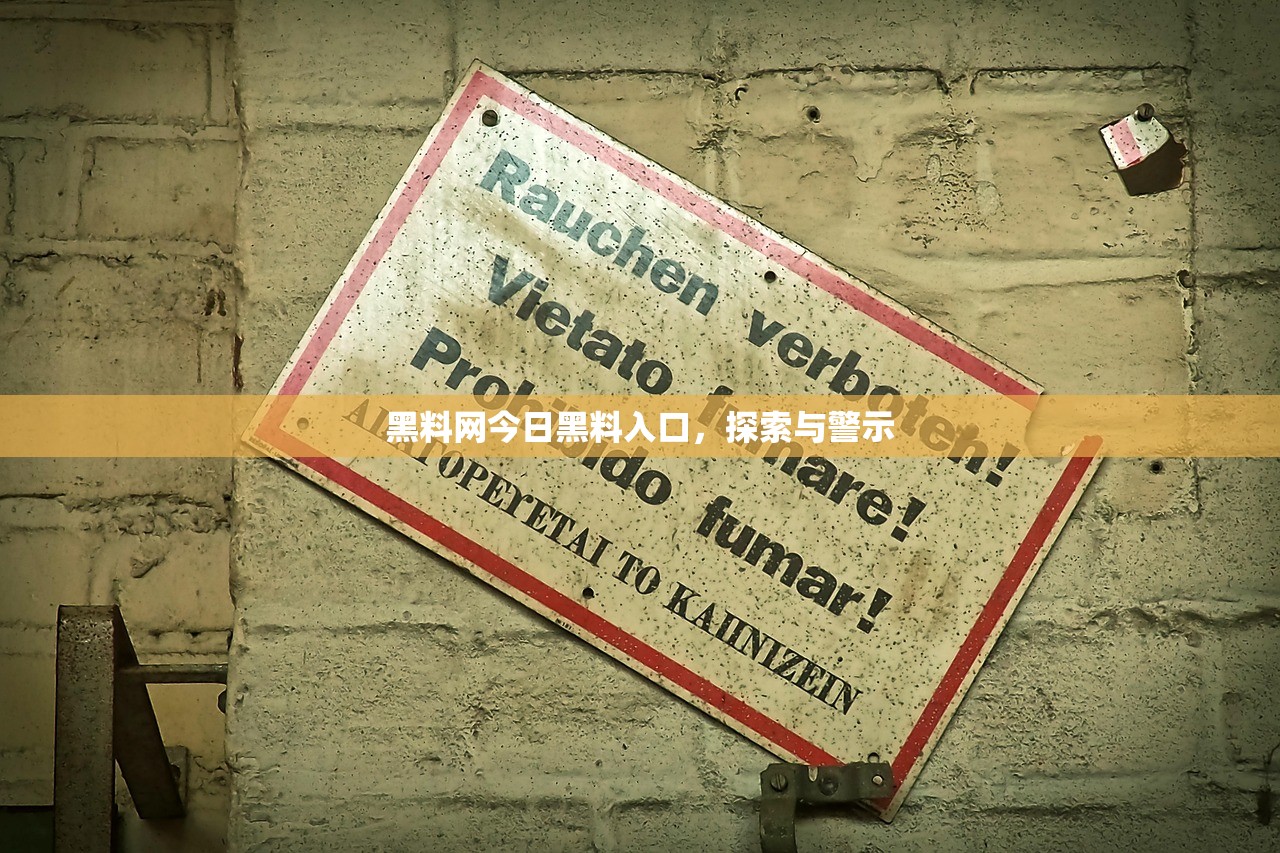黑料网今日黑料入口，探索与警示
