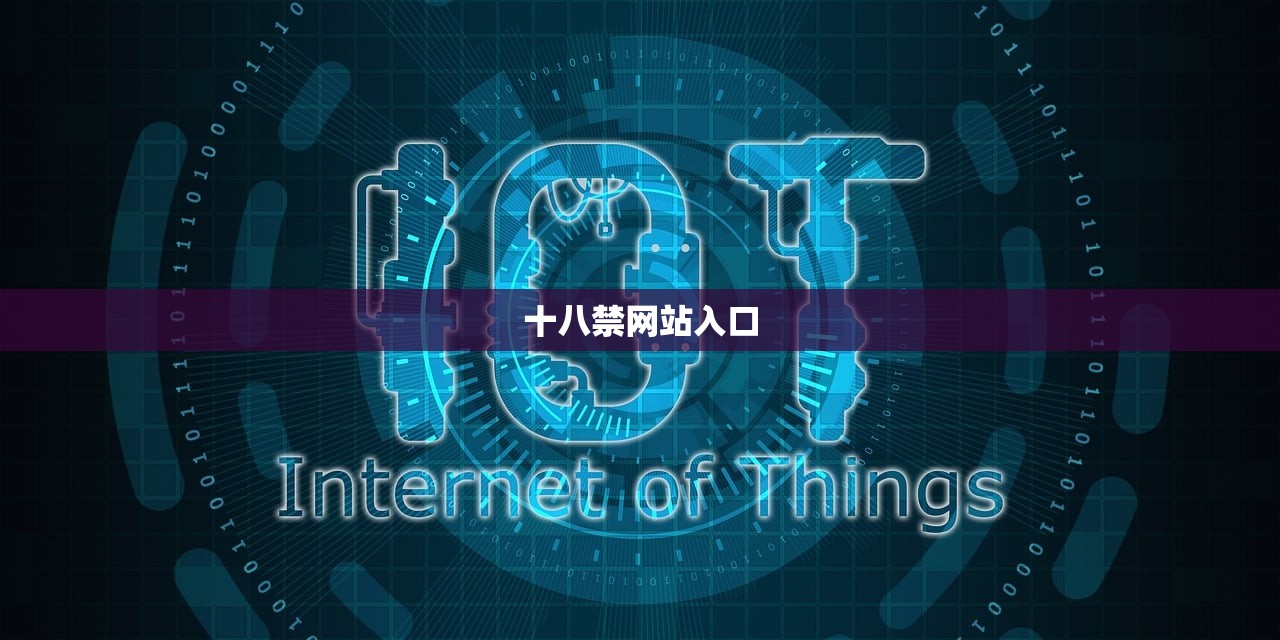 十八禁网站入口