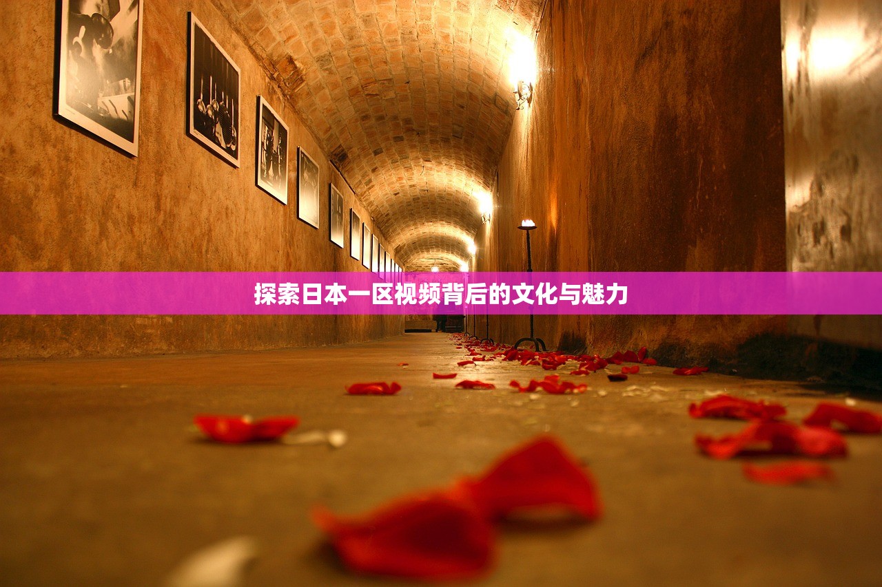 探索日本一区视频背后的文化与魅力