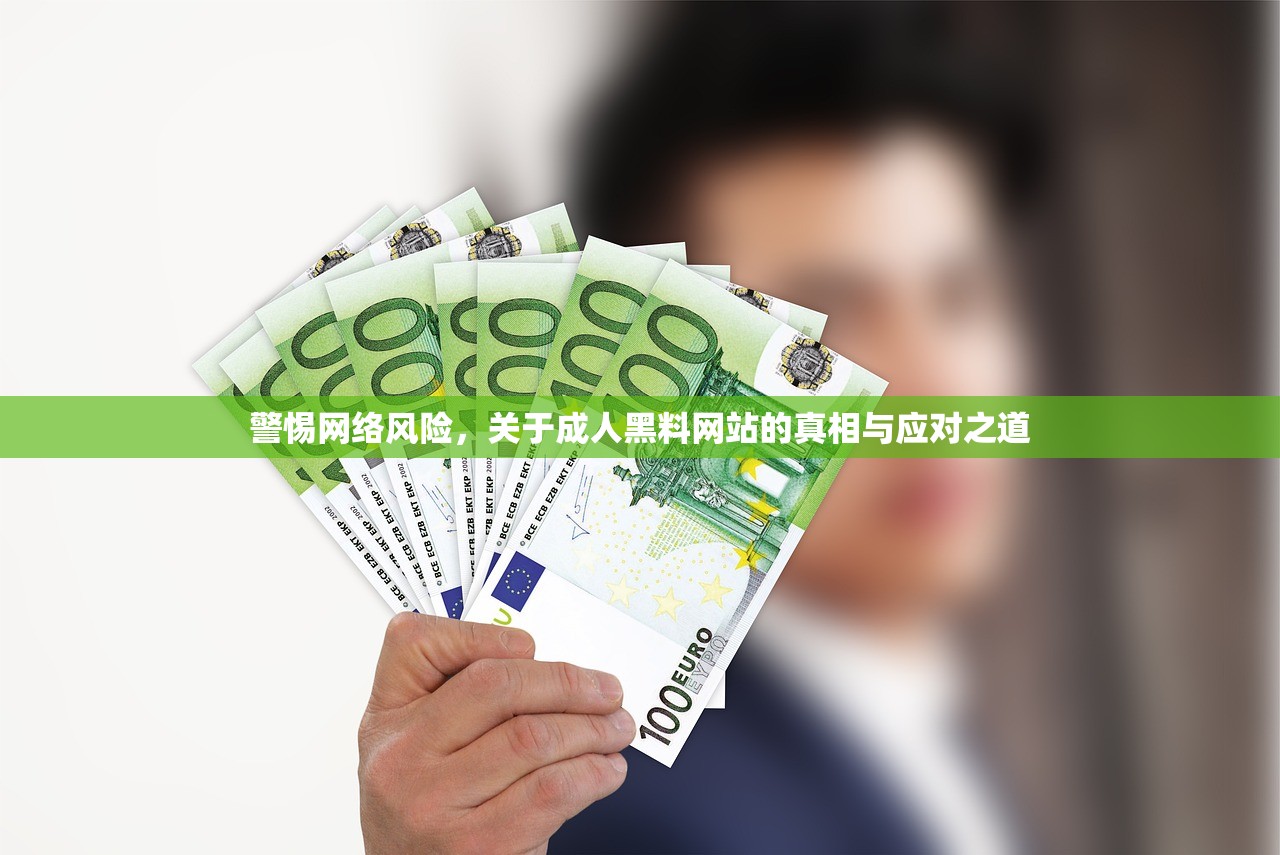 警惕网络风险，关于成人黑料网站的真相与应对之道