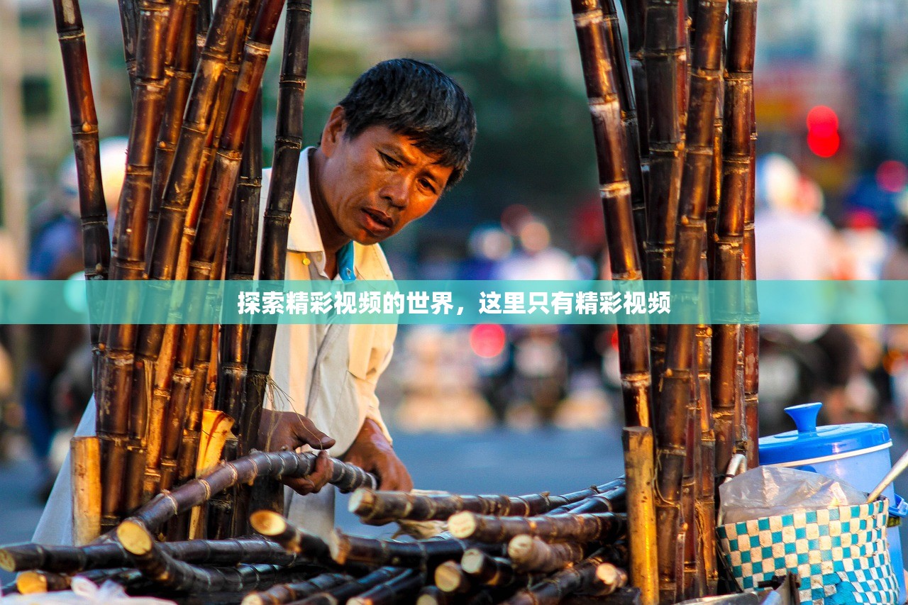 探索精彩视频的世界，这里只有精彩视频