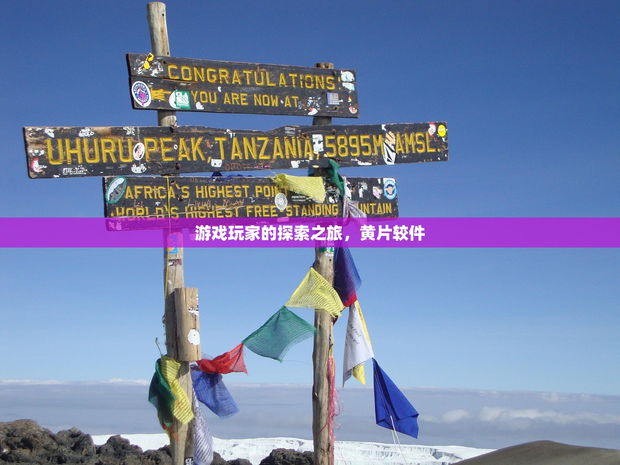 游戏玩家的探索之旅，黄片较件