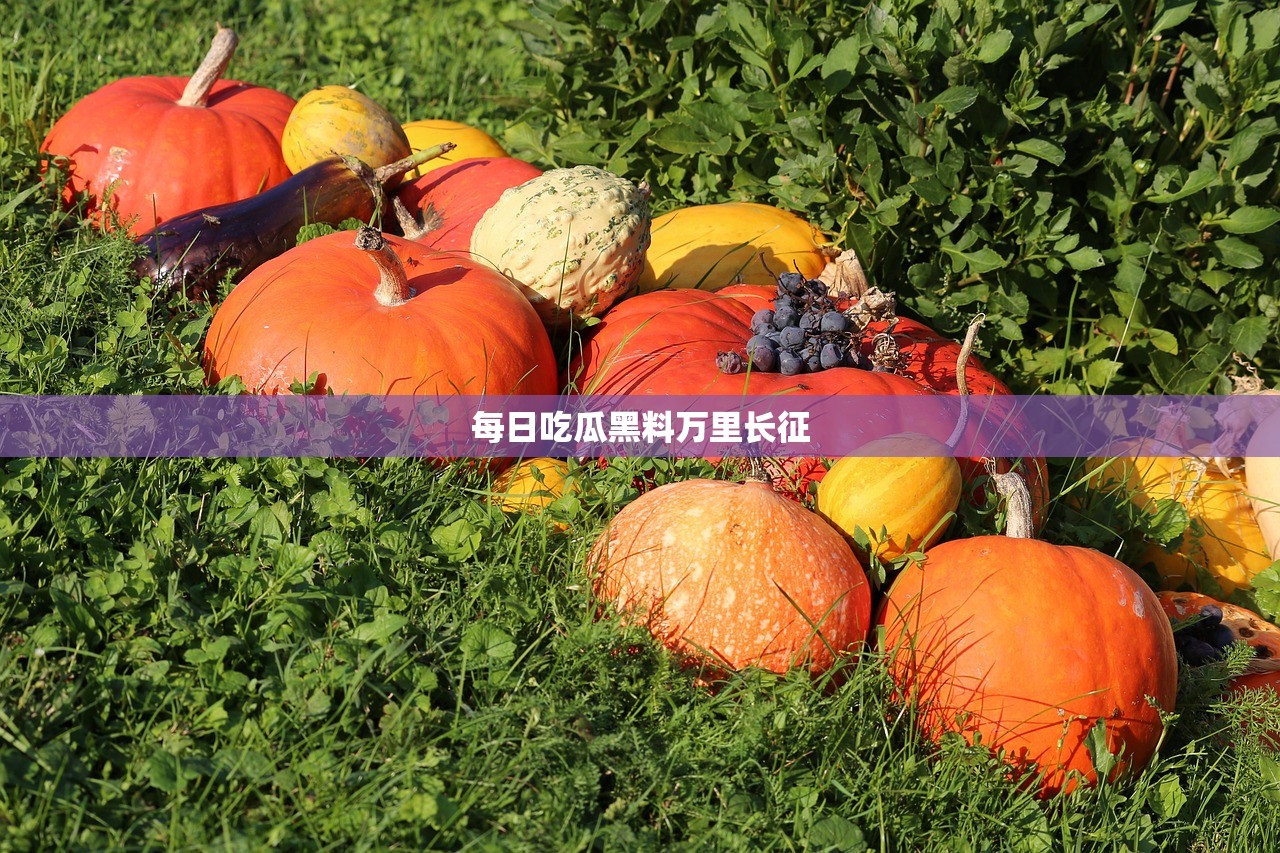 每日吃瓜黑料万里长征