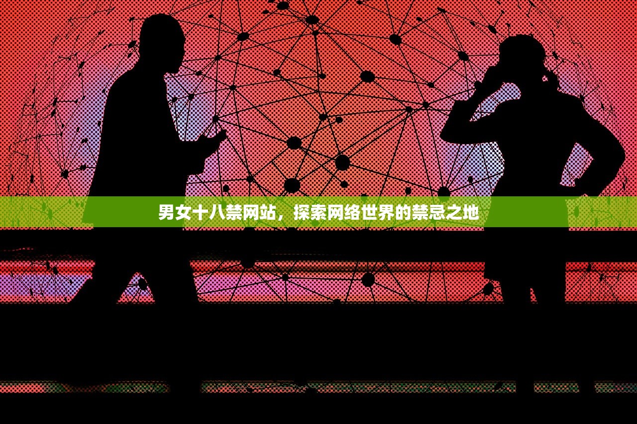 男女十八禁网站，探索网络世界的禁忌之地