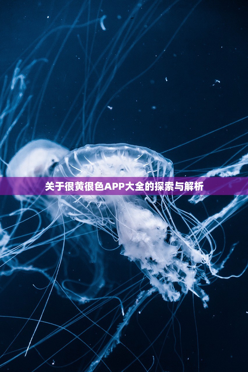 关于很黄很色APP大全的探索与解析