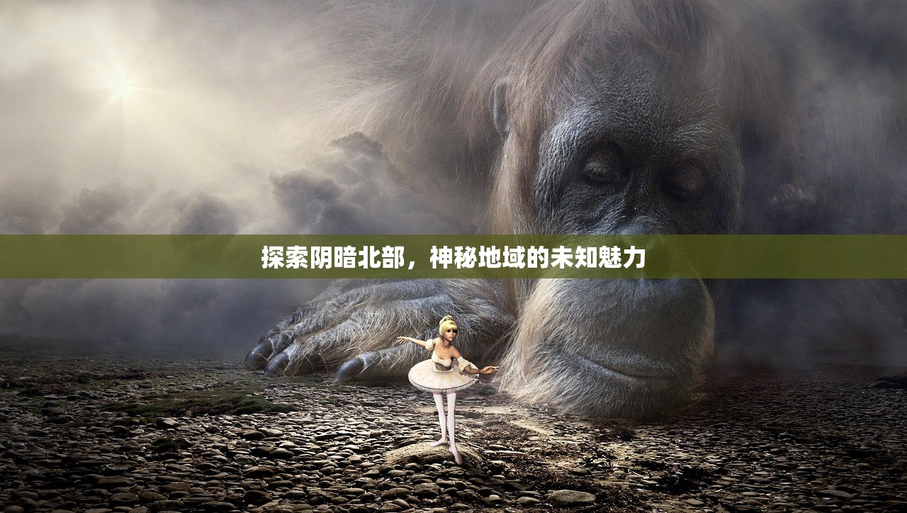 探索阴暗北部，神秘地域的未知魅力