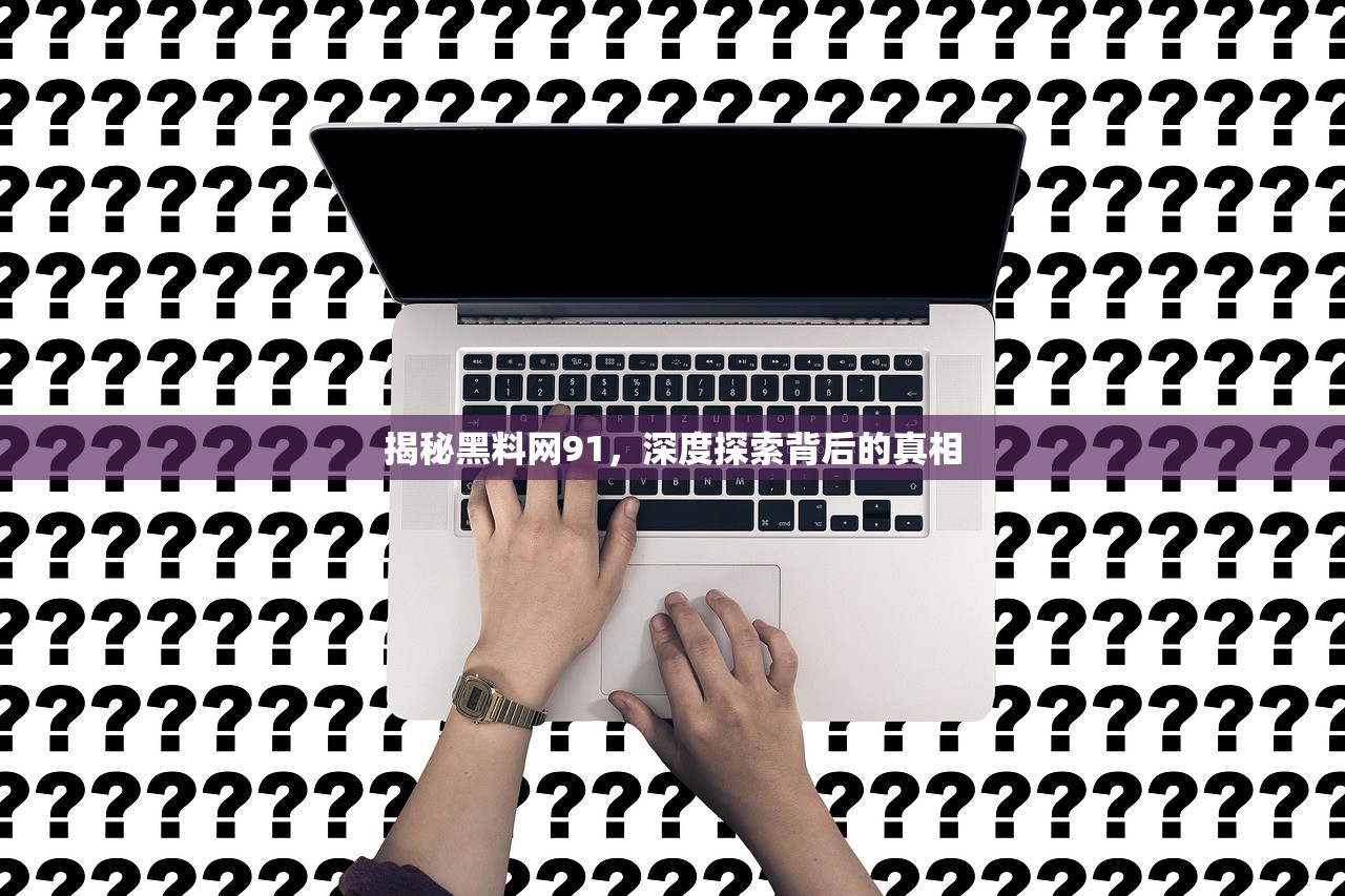 揭秘黑料网91，深度探索背后的真相