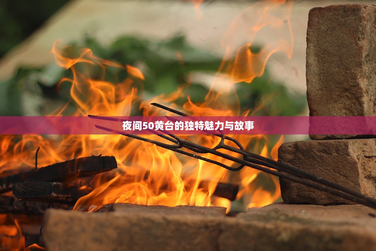 夜间50黄台的独特魅力与故事