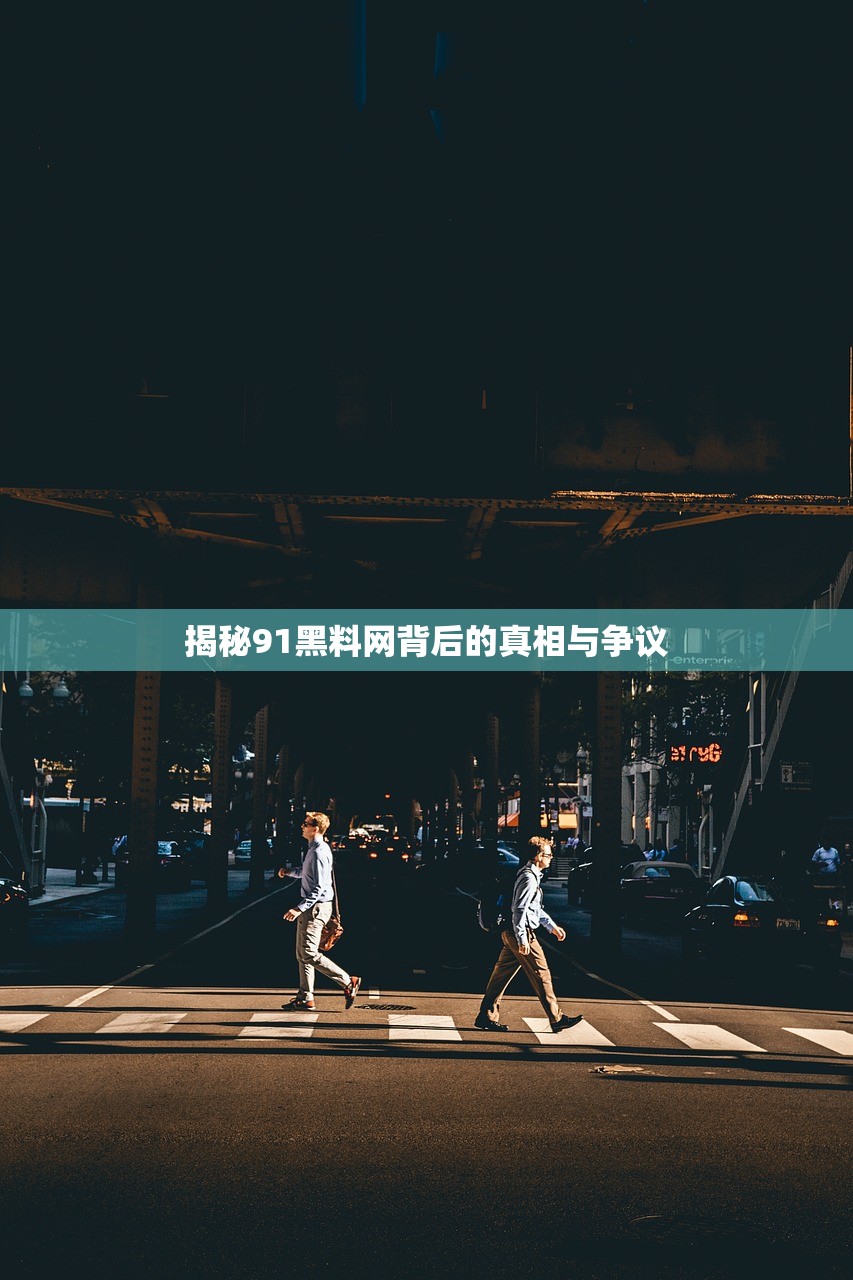 揭秘91黑料网背后的真相与争议