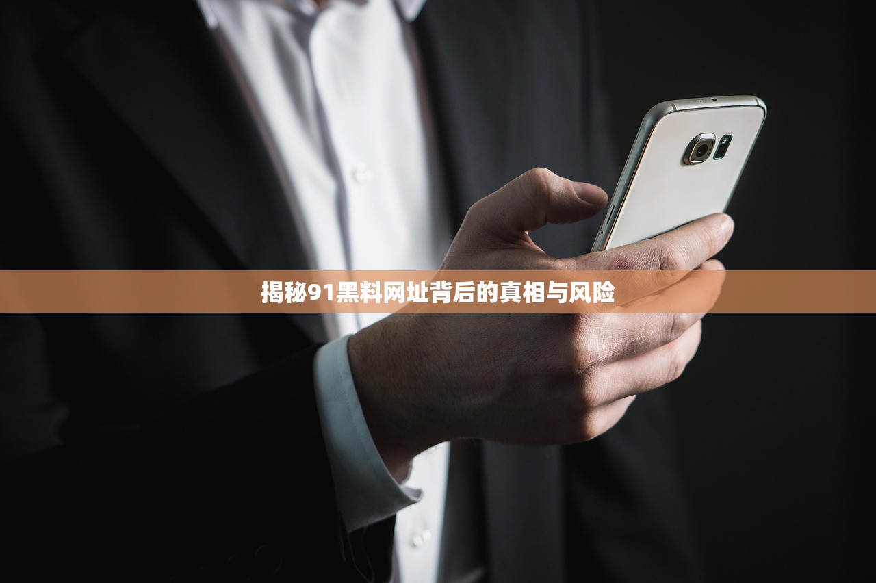 揭秘91黑料网址背后的真相与风险
