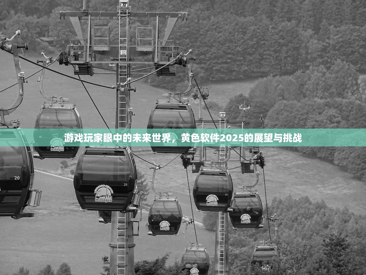游戏玩家眼中的未来世界，黄色软件2025的展望与挑战