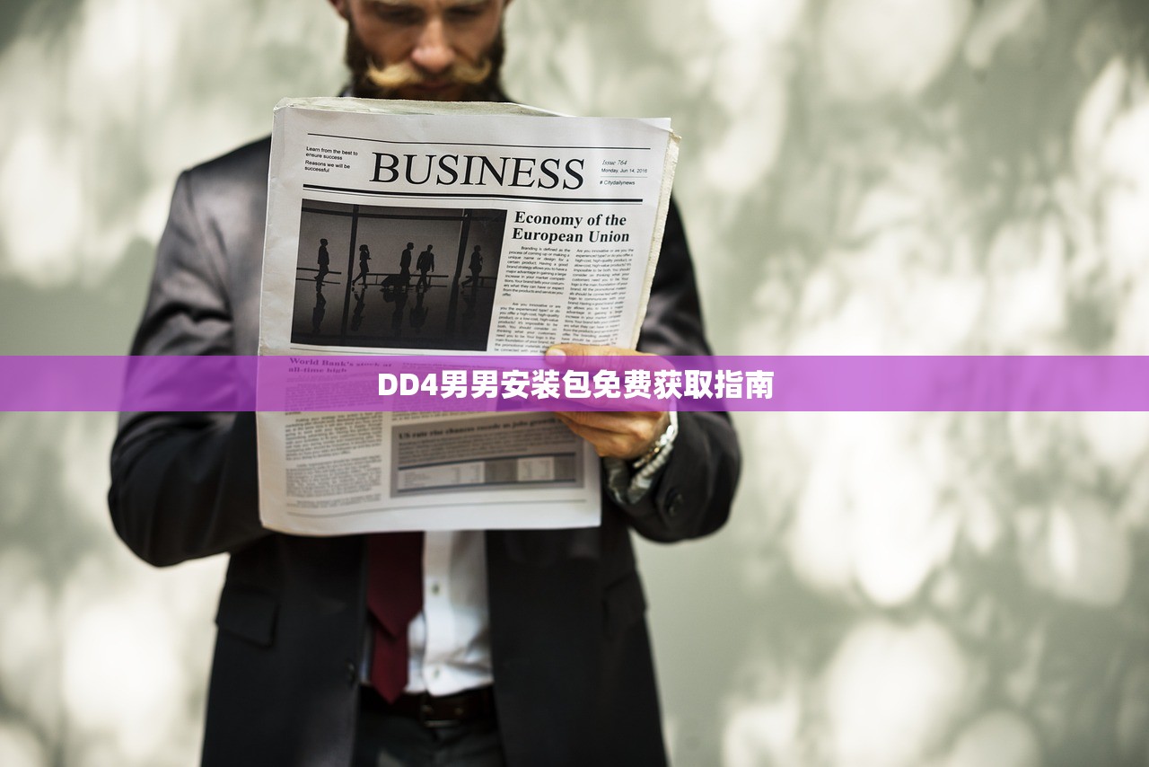 DD4男男安装包免费获取指南
