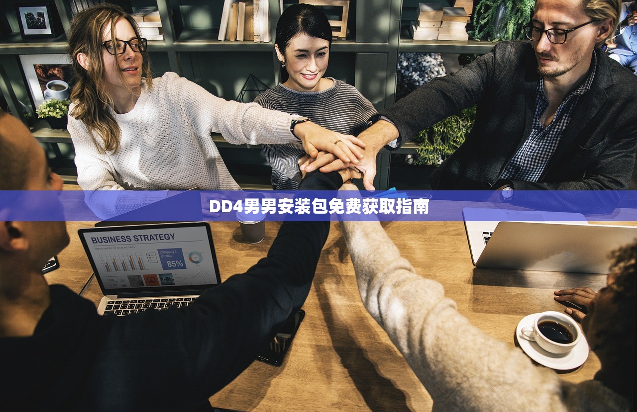 DD4男男安装包免费获取指南