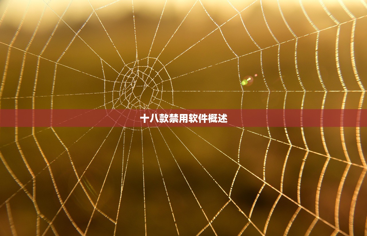 十八款禁用软件概述