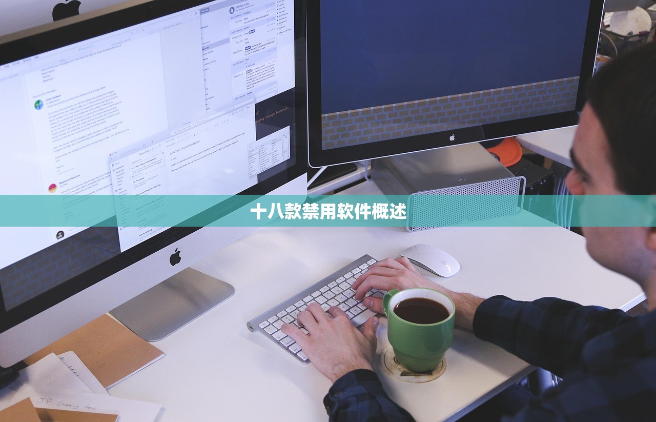 十八款禁用软件概述