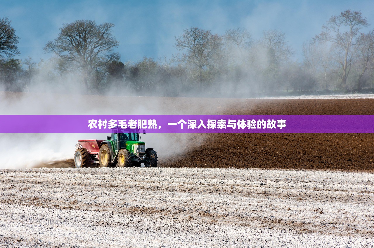 农村多毛老肥熟，一个深入探索与体验的故事
