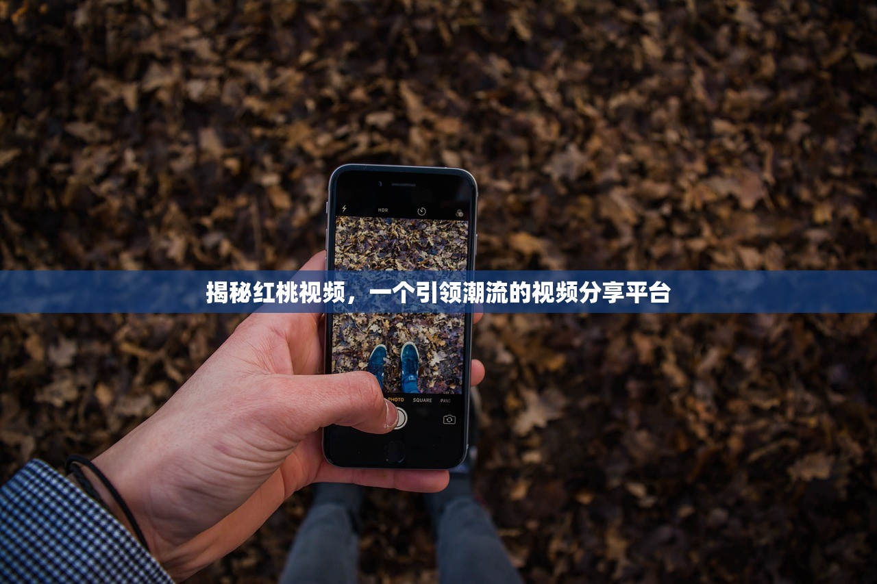 揭秘红桃视频，一个引领潮流的视频分享平台