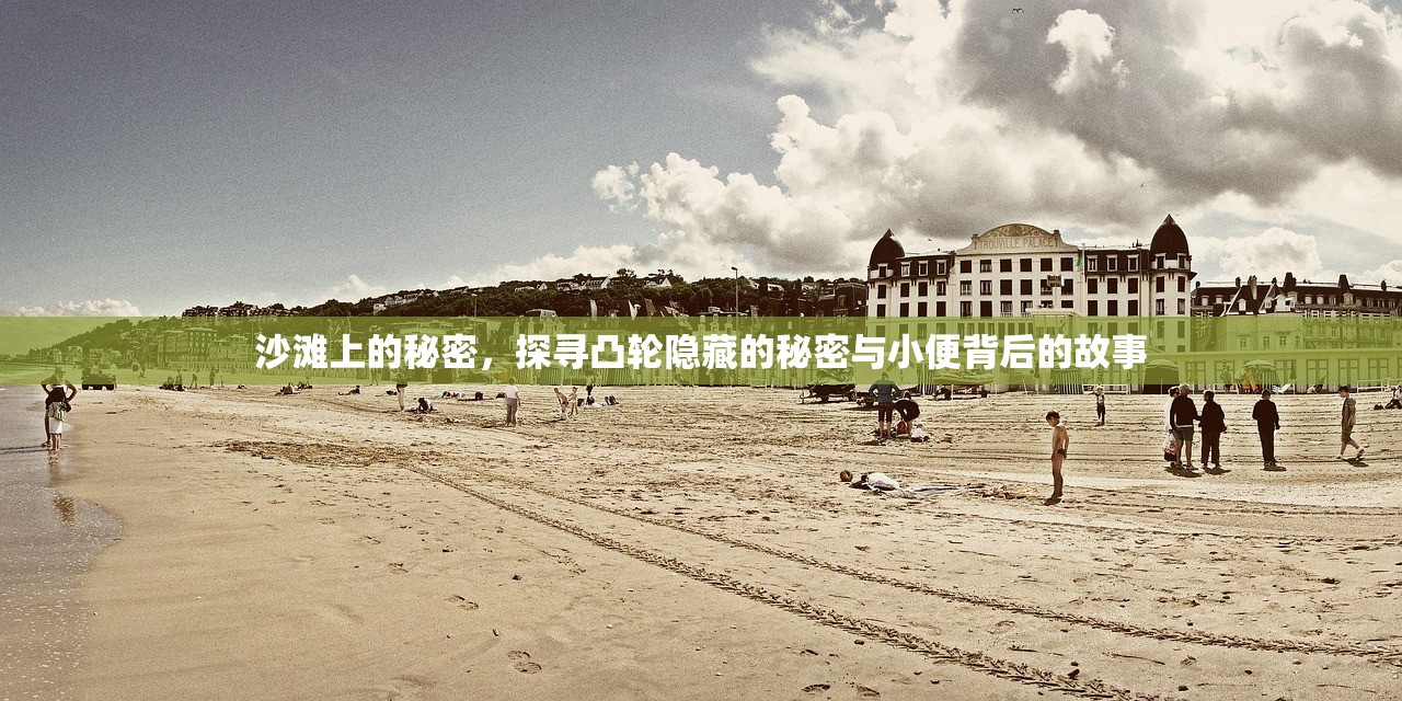沙滩上的秘密，探寻凸轮隐藏的秘密与小便背后的故事