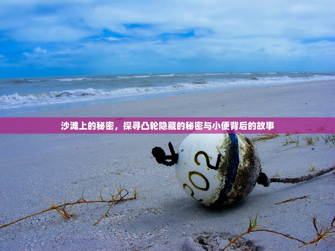 沙滩上的秘密，探寻凸轮隐藏的秘密与小便背后的故事