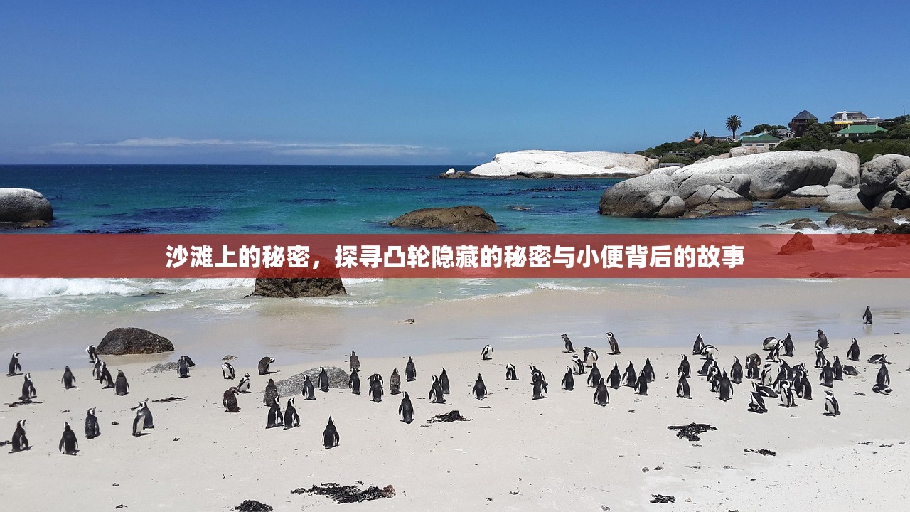 沙滩上的秘密，探寻凸轮隐藏的秘密与小便背后的故事