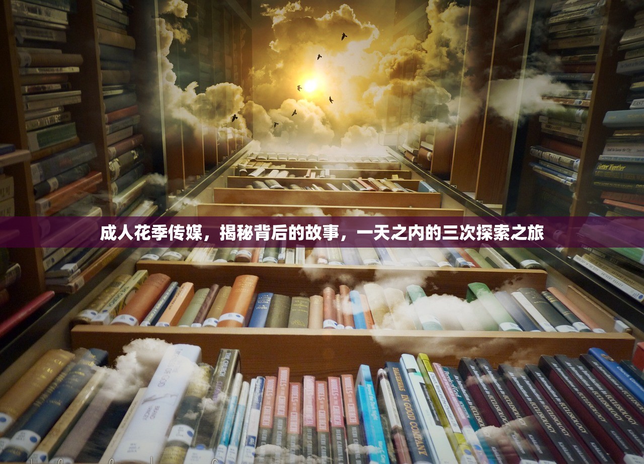 成人花季传媒，揭秘背后的故事，一天之内的三次探索之旅