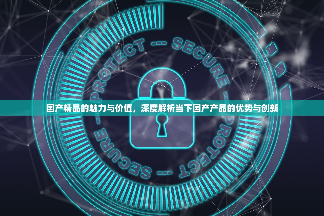 国产精品的魅力与价值，深度解析当下国产产品的优势与创新